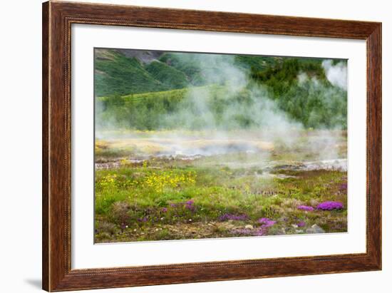 Iceland, Geothermal Field, Geyser-Catharina Lux-Framed Photographic Print