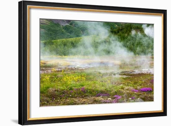 Iceland, Geothermal Field, Geyser-Catharina Lux-Framed Photographic Print