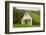 Iceland. Hofskirkja Yellow Church Turf Grass in Town of Hof in South Iceland-Bill Bachmann-Framed Photographic Print