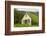 Iceland. Hofskirkja Yellow Church Turf Grass in Town of Hof in South Iceland-Bill Bachmann-Framed Photographic Print