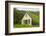 Iceland. Hofskirkja Yellow Church Turf Grass in Town of Hof in South Iceland-Bill Bachmann-Framed Photographic Print