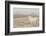 Iceland Horse, Near Hvollsvšllur, South Iceland, Iceland-Rainer Mirau-Framed Photographic Print