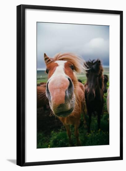 Iceland Horses and Clouds, Farm Scene, High Country Iceland-Vincent James-Framed Photographic Print