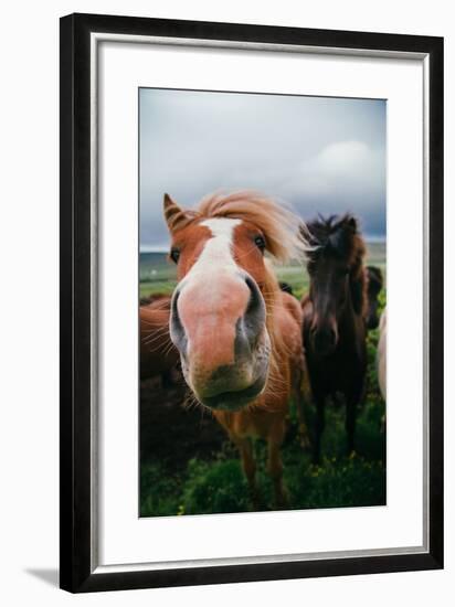 Iceland Horses and Clouds, Farm Scene, High Country Iceland-Vincent James-Framed Photographic Print