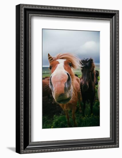 Iceland Horses and Clouds, Farm Scene, High Country Iceland-Vincent James-Framed Photographic Print