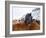 Iceland horses in winter, western Iceland. March.-Konrad Wothe-Framed Photographic Print