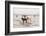 Iceland Horses, Near Hvollsvšllur, South Iceland, Iceland-Rainer Mirau-Framed Photographic Print