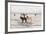 Iceland Horses, Near Hvollsvšllur, South Iceland, Iceland-Rainer Mirau-Framed Photographic Print