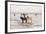 Iceland Horses, Near Hvollsvšllur, South Iceland, Iceland-Rainer Mirau-Framed Photographic Print