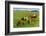 Iceland Horses-Catharina Lux-Framed Photographic Print