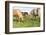 Iceland Horses-Catharina Lux-Framed Photographic Print