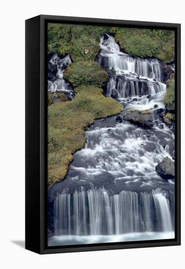 Iceland, Hraunfossar. Tiny cascades emerge from the lava to flow into the Hvita River-Ellen Goff-Framed Premier Image Canvas