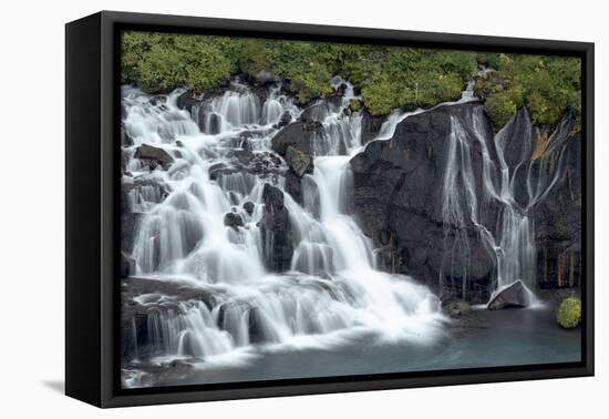 Iceland, Hraunfossar. Tiny cascades emerge from the lava to flow into the Hvita River-Ellen Goff-Framed Premier Image Canvas