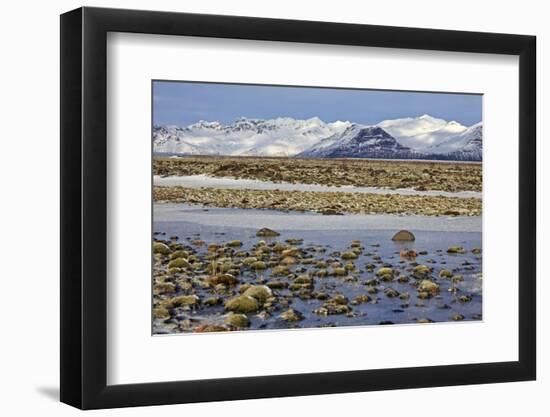 Iceland, Iceland, the South, Moss Padding, Skaftafell, Skaftafell National Park-Bernd Rommelt-Framed Photographic Print