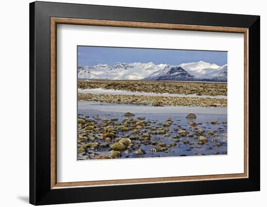 Iceland, Iceland, the South, Moss Padding, Skaftafell, Skaftafell National Park-Bernd Rommelt-Framed Photographic Print