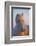 Iceland. Icelandic horse in sunset light.-Jaynes Gallery-Framed Photographic Print