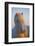 Iceland. Icelandic horse in sunset light.-Jaynes Gallery-Framed Photographic Print