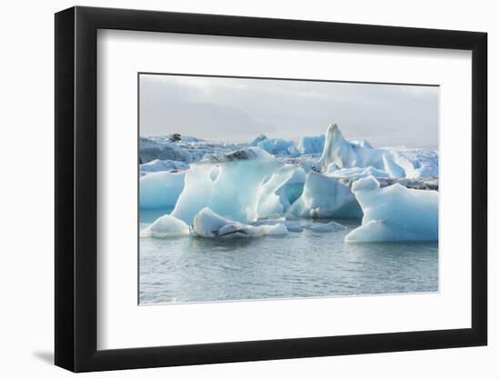 Iceland. Jokulsarlon Glaciers and Icebergs , Southeast Iceland-Bill Bachmann-Framed Photographic Print