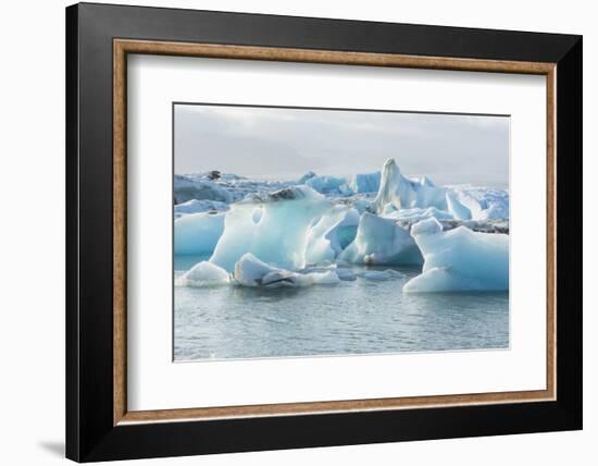 Iceland. Jokulsarlon Glaciers and Icebergs , Southeast Iceland-Bill Bachmann-Framed Photographic Print