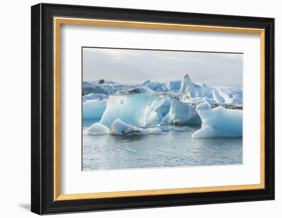 Iceland. Jokulsarlon Glaciers and Icebergs , Southeast Iceland-Bill Bachmann-Framed Photographic Print