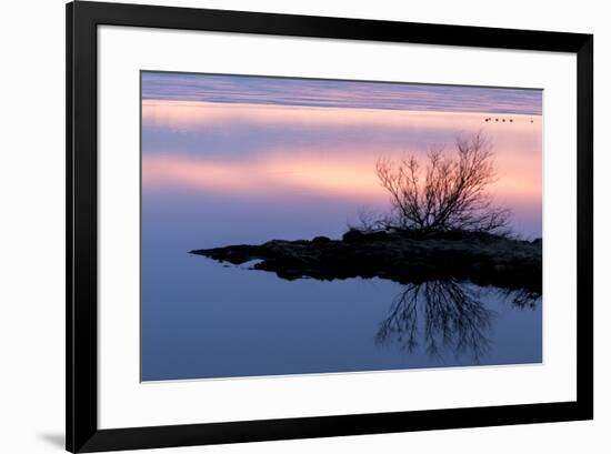 Iceland, Lake Myvatn, Reykjahlio. Sunset reflected in a tundra pond.-Ellen Goff-Framed Premium Photographic Print