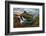 Iceland Landscape Spring Panorama at Sunset - Kirkjufell-TTstudio-Framed Photographic Print