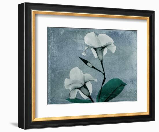 Iceland Mandelilla-Albert Koetsier-Framed Art Print