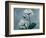 Iceland Mandelilla-Albert Koetsier-Framed Art Print