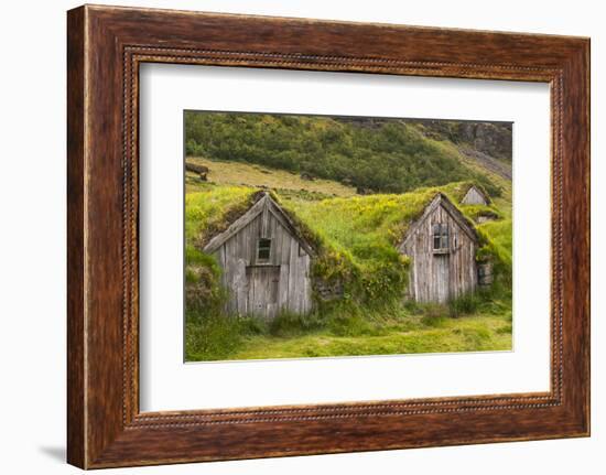 Iceland, Nupsstadur Turf Farmstead. Old homes covered with turf for protection and insulation.-Ellen Goff-Framed Photographic Print