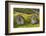 Iceland, Nupsstadur Turf Farmstead. Old homes covered with turf for protection and insulation.-Ellen Goff-Framed Photographic Print