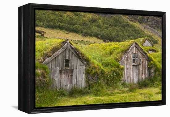 Iceland, Nupsstadur Turf Farmstead. Old homes covered with turf for protection and insulation.-Ellen Goff-Framed Premier Image Canvas