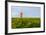 Iceland, Peninsula Reykjanes, Lighthouse-Catharina Lux-Framed Photographic Print