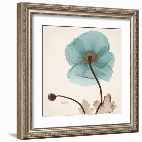 Iceland Poppy Believe-Albert Koetsier-Framed Art Print