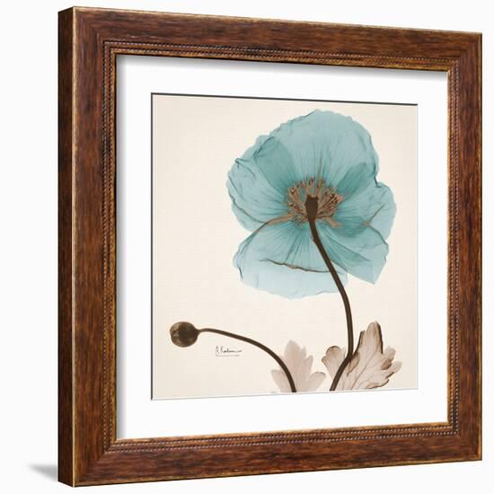 Iceland Poppy Believe-Albert Koetsier-Framed Art Print