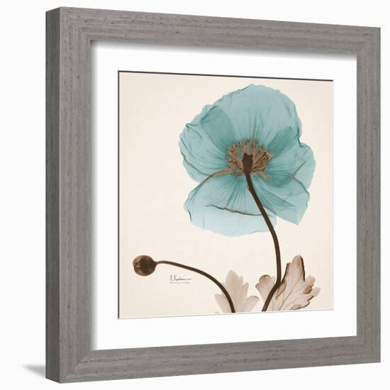 Iceland Poppy Believe-Albert Koetsier-Framed Art Print