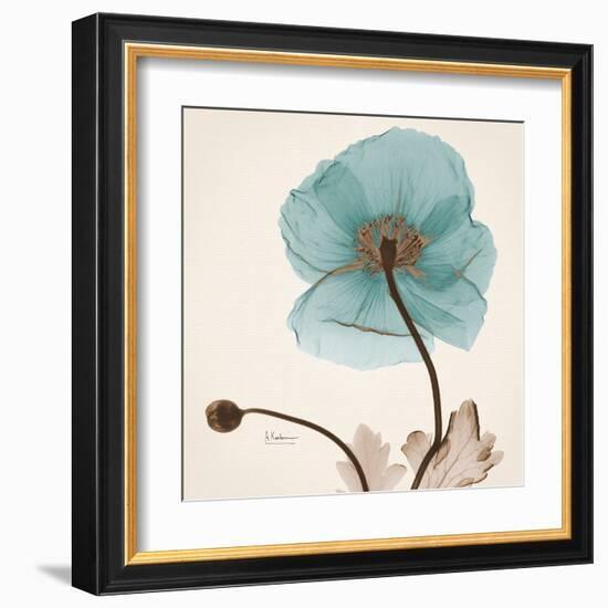 Iceland Poppy Believe-Albert Koetsier-Framed Art Print