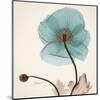 Iceland Poppy Believe-Albert Koetsier-Mounted Art Print