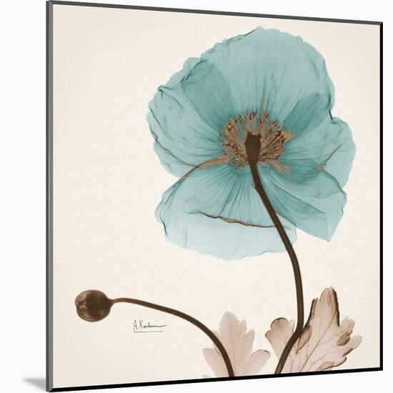 Iceland Poppy Believe-Albert Koetsier-Mounted Art Print