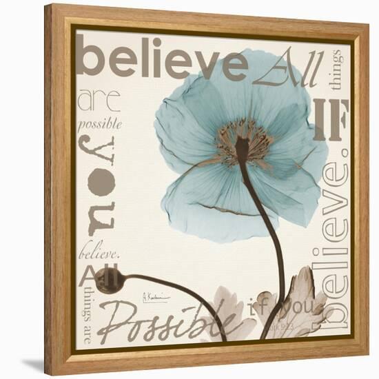 Iceland Poppy Believe-Albert Koetsier-Framed Stretched Canvas