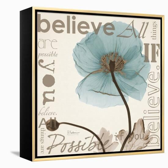 Iceland Poppy Believe-Albert Koetsier-Framed Stretched Canvas