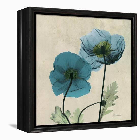 Iceland Poppy Duo 2-Albert Koetsier-Framed Stretched Canvas