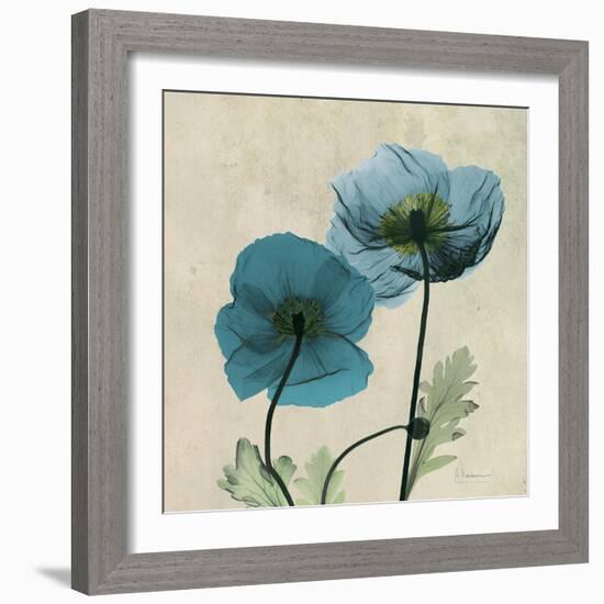 Iceland Poppy Duo 2-Albert Koetsier-Framed Premium Giclee Print