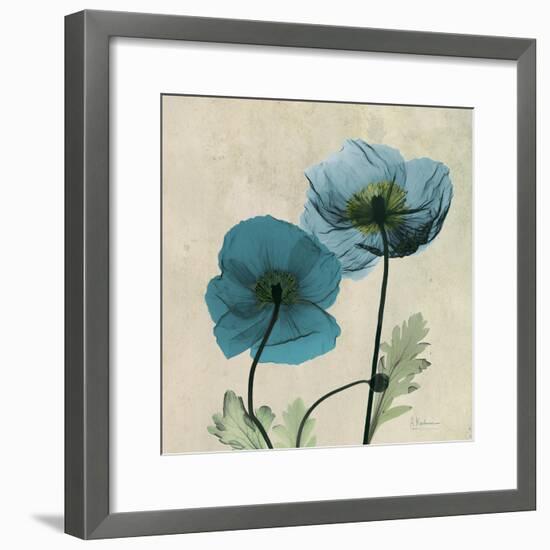 Iceland Poppy Duo 2-Albert Koetsier-Framed Premium Giclee Print