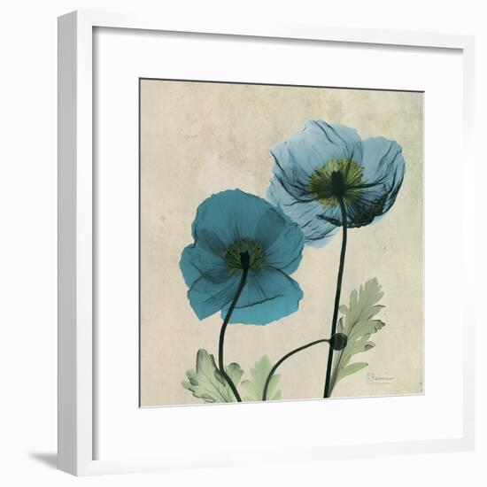 Iceland Poppy Duo 2-Albert Koetsier-Framed Premium Giclee Print