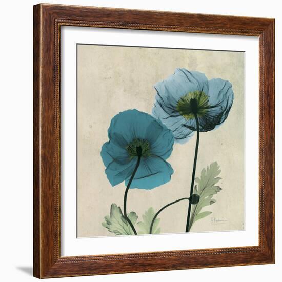 Iceland Poppy Duo 2-Albert Koetsier-Framed Premium Giclee Print