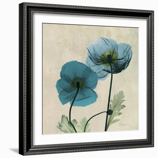 Iceland Poppy Duo 2-Albert Koetsier-Framed Premium Giclee Print