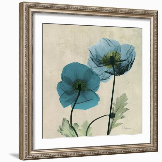 Iceland Poppy Duo 2-Albert Koetsier-Framed Art Print