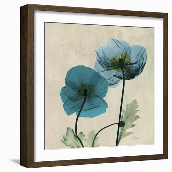 Iceland Poppy Duo 2-Albert Koetsier-Framed Art Print