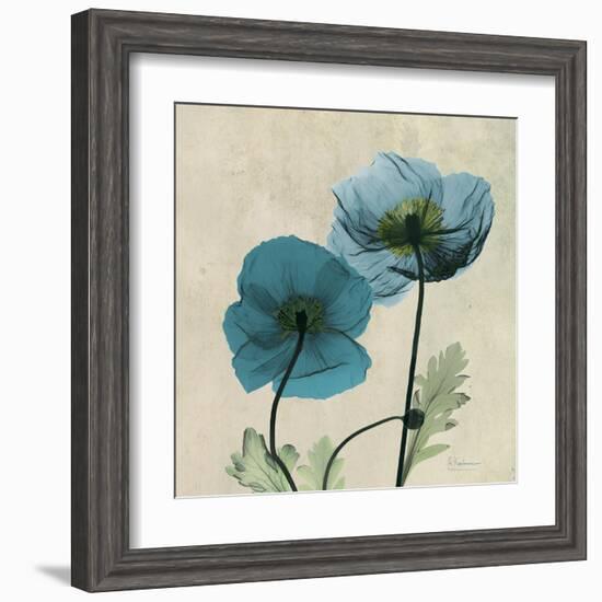 Iceland Poppy Duo 2-Albert Koetsier-Framed Art Print