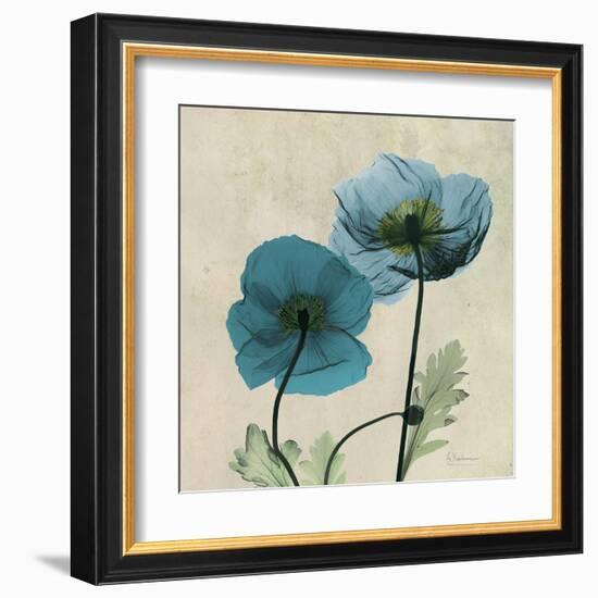 Iceland Poppy Duo 2-Albert Koetsier-Framed Art Print